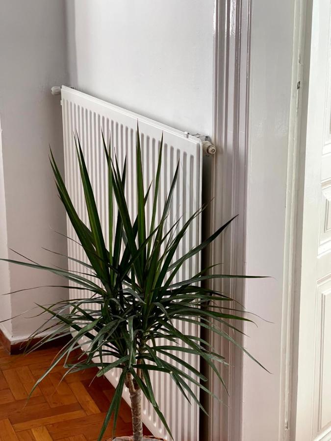 Η Ελπίδα Και Η Γιάννα Ξεκίνησαν Ένα Χώρο Cute Apartment Volos Luaran gambar