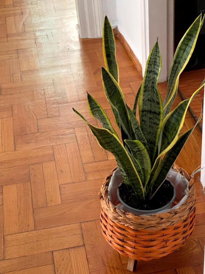 Η Ελπίδα Και Η Γιάννα Ξεκίνησαν Ένα Χώρο Cute Apartment Volos Luaran gambar