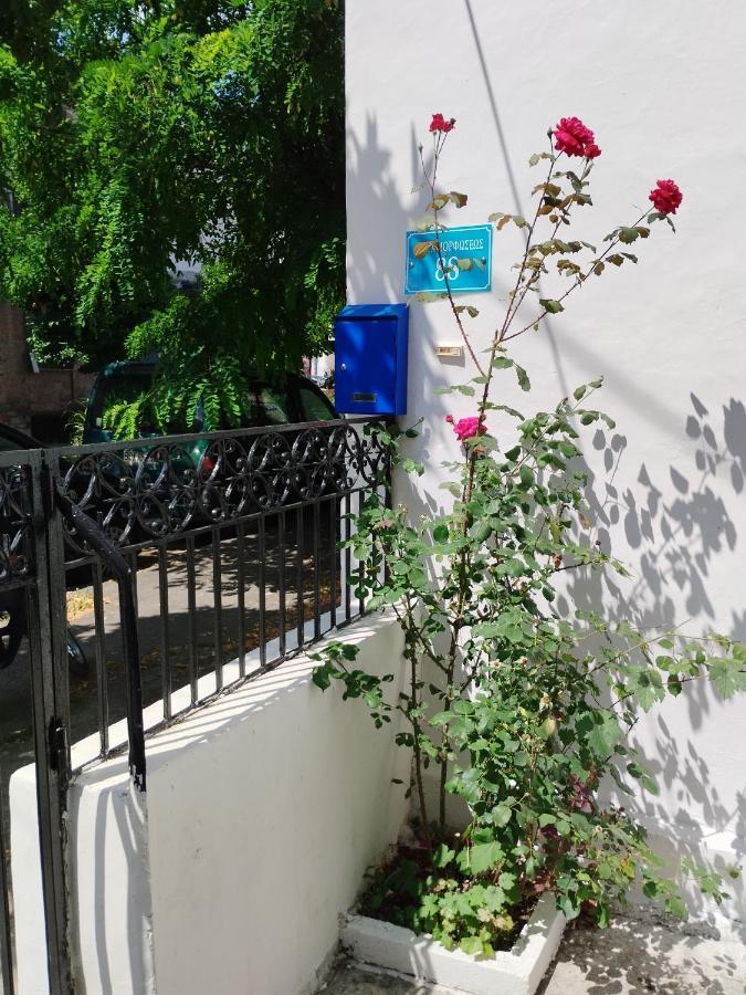 Η Ελπίδα Και Η Γιάννα Ξεκίνησαν Ένα Χώρο Cute Apartment Volos Luaran gambar