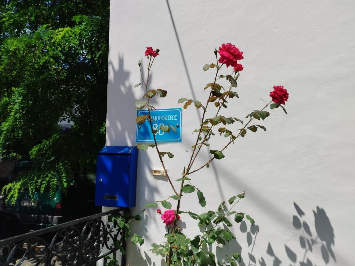 Η Ελπίδα Και Η Γιάννα Ξεκίνησαν Ένα Χώρο Cute Apartment Volos Luaran gambar
