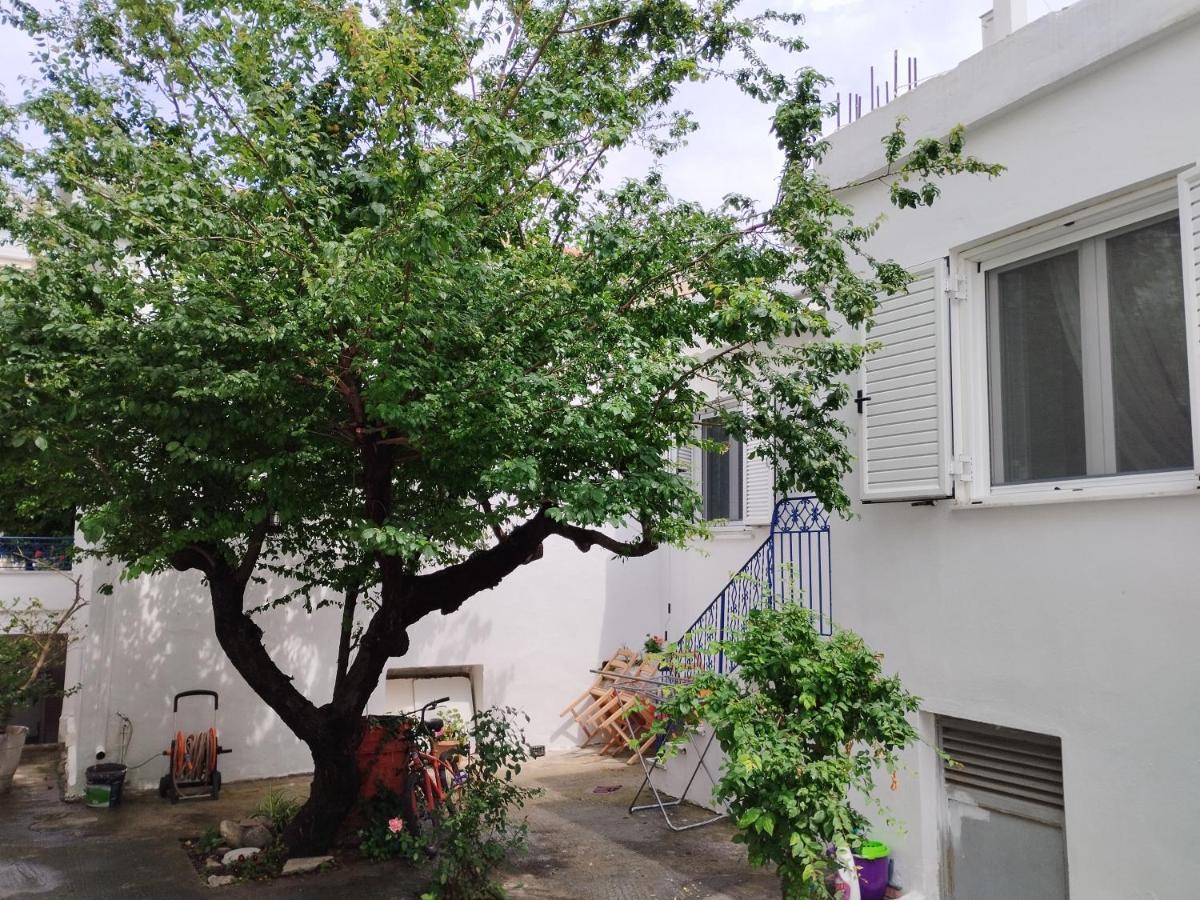 Η Ελπίδα Και Η Γιάννα Ξεκίνησαν Ένα Χώρο Cute Apartment Volos Luaran gambar