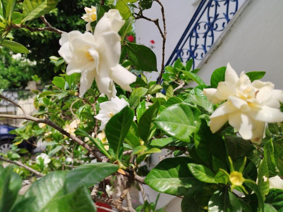 Η Ελπίδα Και Η Γιάννα Ξεκίνησαν Ένα Χώρο Cute Apartment Volos Luaran gambar